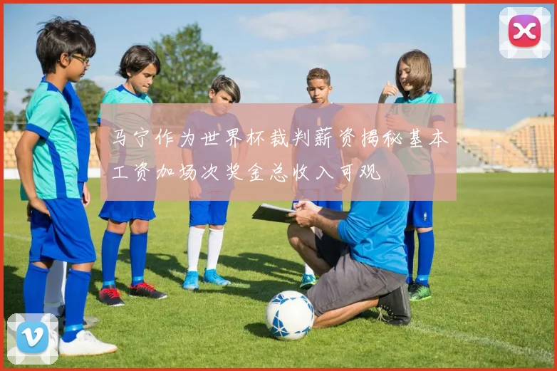马宁作为世界杯裁判薪资揭秘基本工资加场次奖金总收入可观