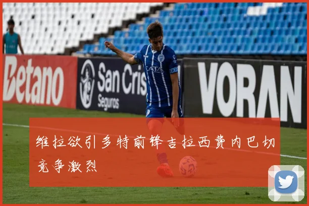 维拉欲引多特前锋吉拉西费内巴切竞争激烈